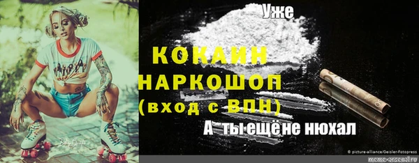 дмт Рославль